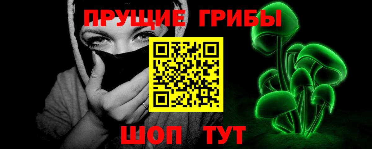 Псилоцибиновые грибы GOLDEN TEACHER  Галлюциногенные грибы MAGIC MUSHROOMS  Россия  Вход с VPN 